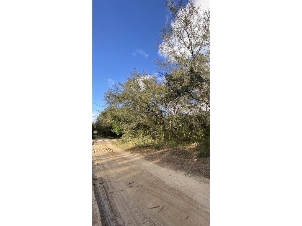 Dogwood Way Lady Lake FL 32159 G5094033 image6