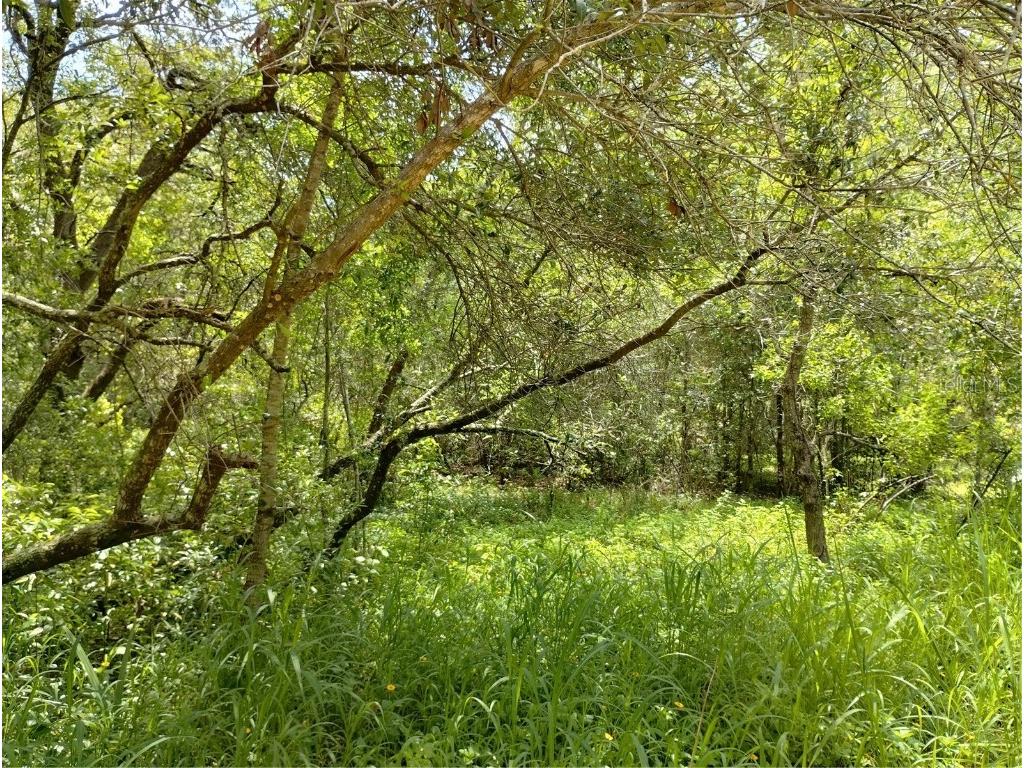 Dogwood Way Lady Lake FL 32159 G5097900 image2