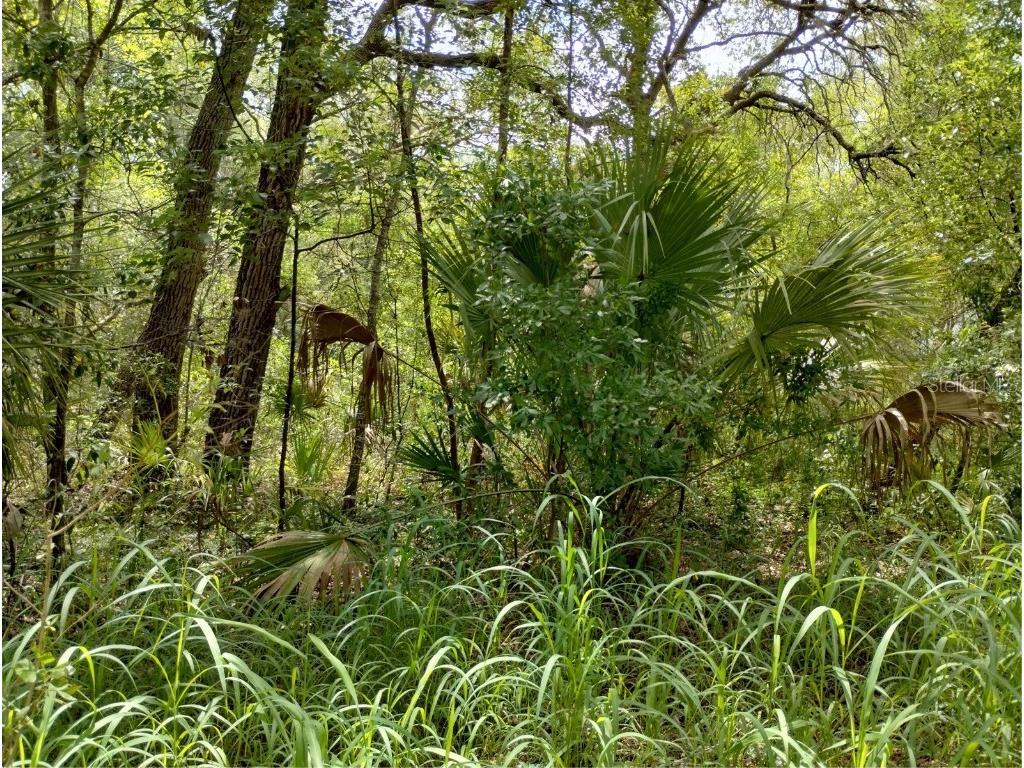 Dogwood Way Lady Lake FL 32159 G5097900 image3