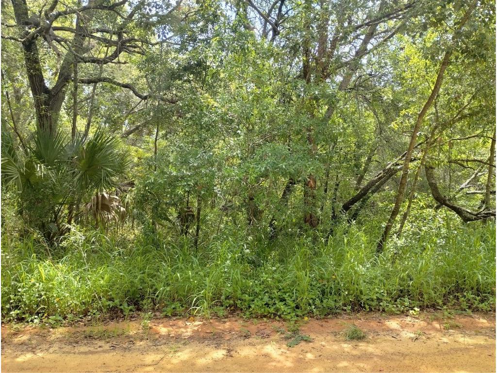 Dogwood Way Lady Lake FL 32159 G5097900 image5