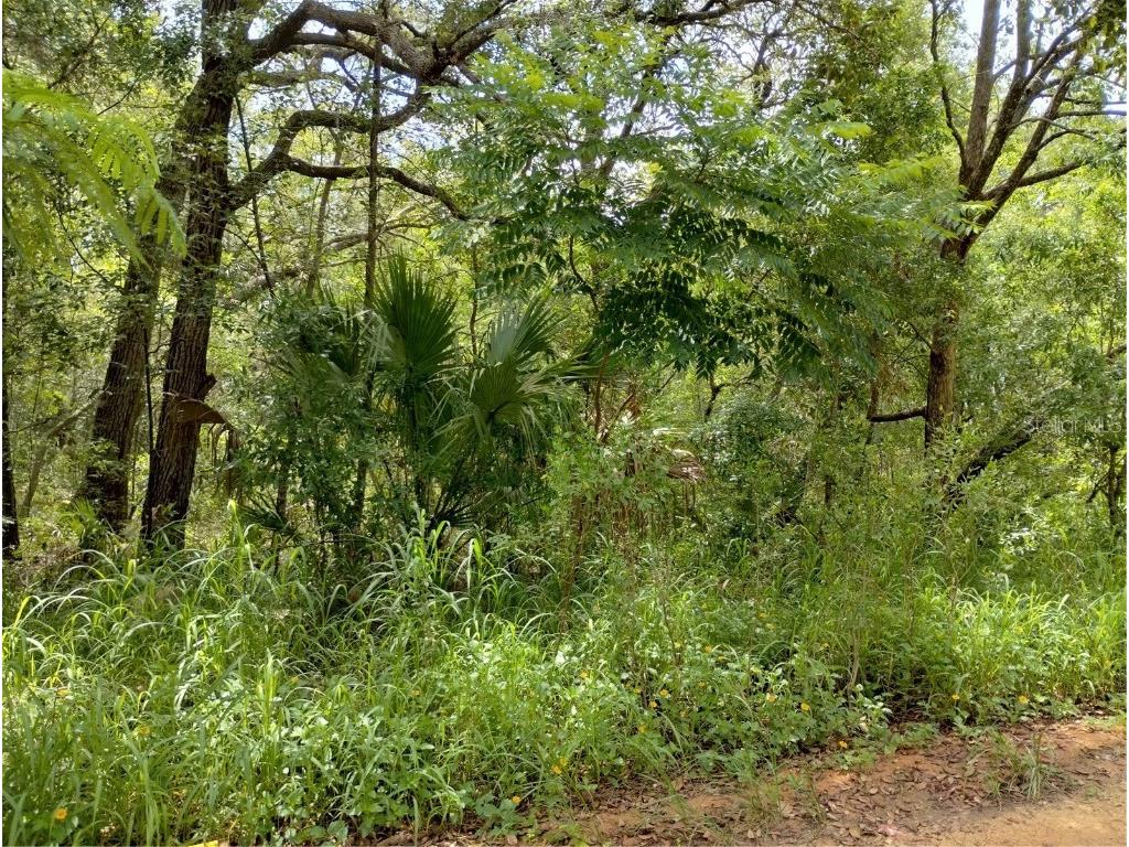 Dogwood Way Lady Lake FL 32159 G5097900 image6