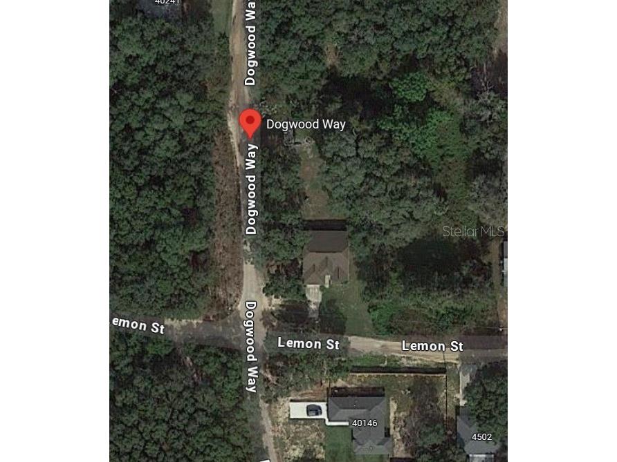 Dogwood Way Lady Lake FL 32159 G5097900 image7