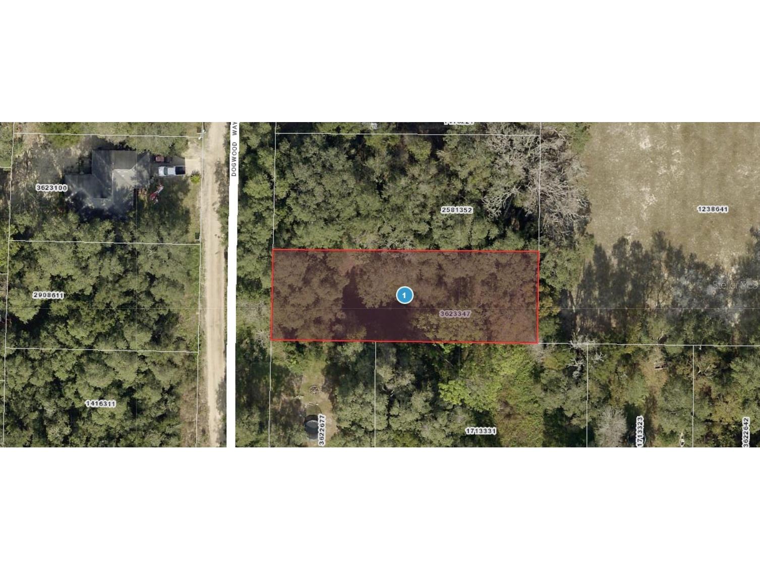 Dogwood Way Lady Lake FL 32159 G5097900 image8