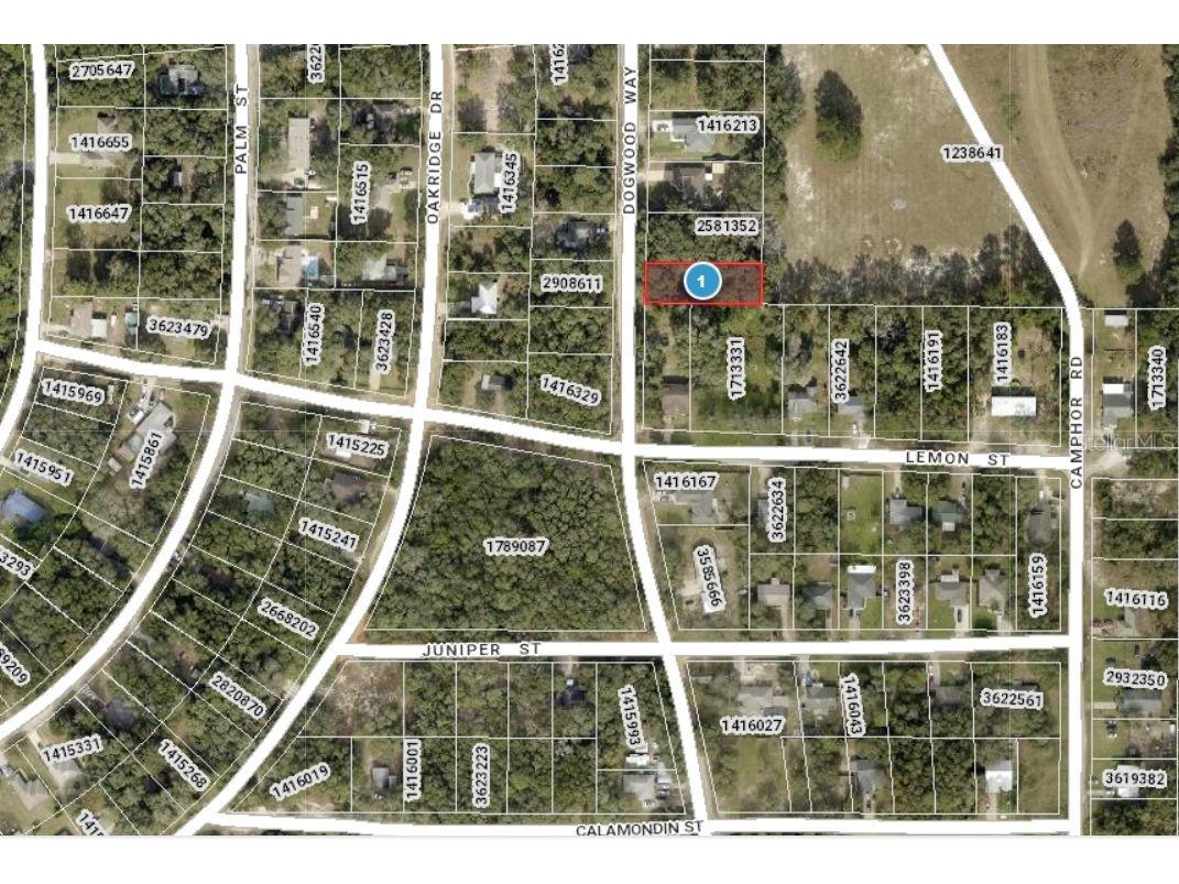 Dogwood Way Lady Lake FL 32159 G5097900 image9