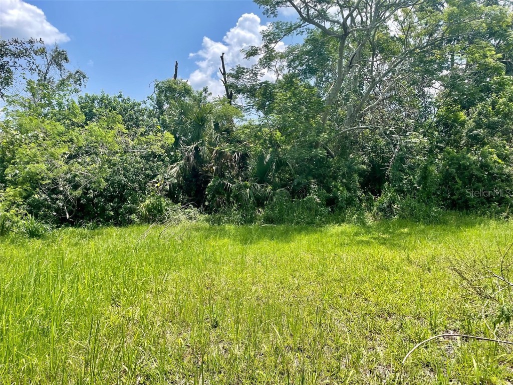 Dolarway Street Sanford FL 32771 O6122695 image1