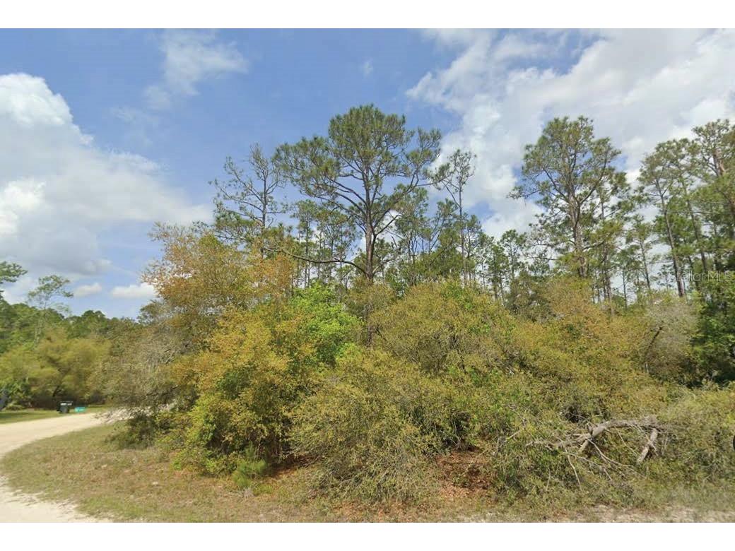 Dolphin Drive Georgetown FL 32139 O6341321 image1