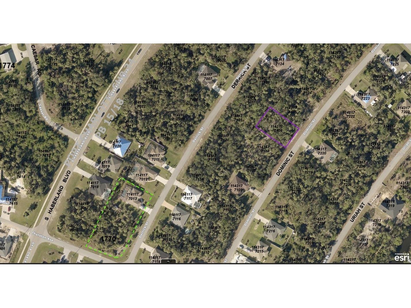 1143177106 Dominic Street North Port FL 34288 A4606841 image2