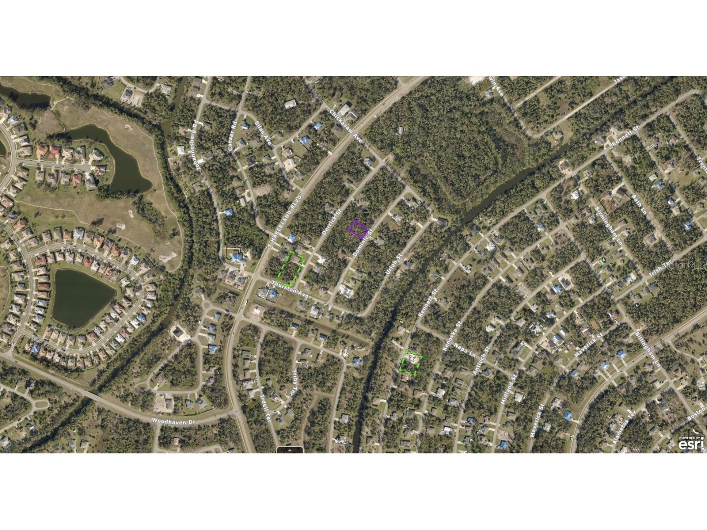 1143177106 Dominic Street North Port FL 34288 A4606841 image3