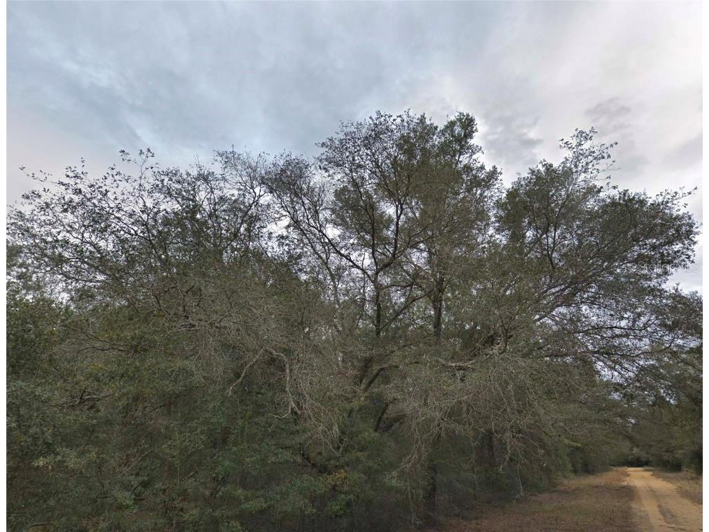 Donald Avenue Interlachen FL 32148 O6360035 image1