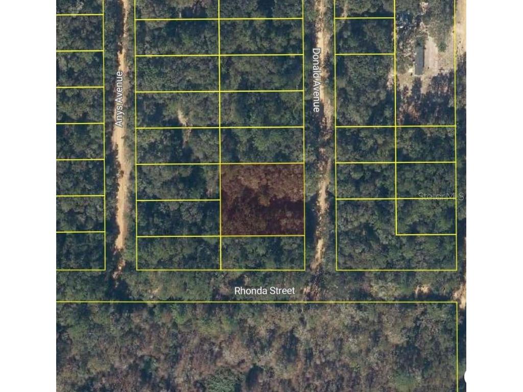 Donald Avenue Interlachen FL 32148 O6360035 image2