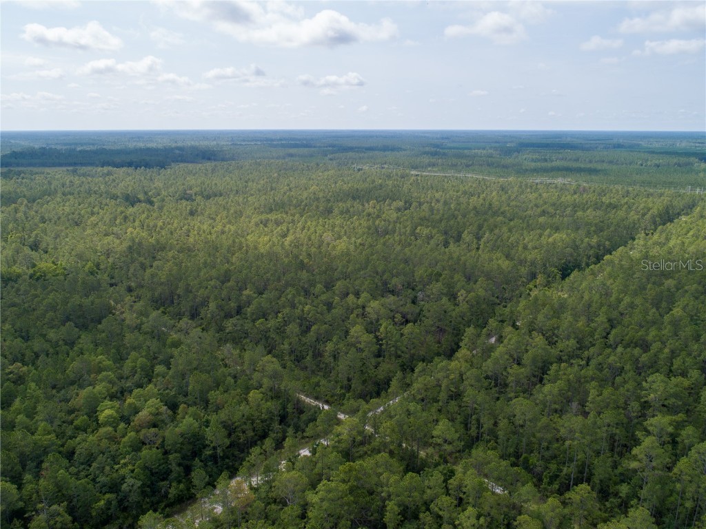 Donna Street Hastings FL 32145 A4656975 image1