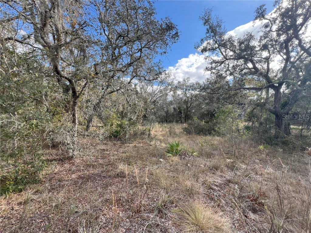 Donney Moor Lane Spring Hill FL 34610 T3505595 image1