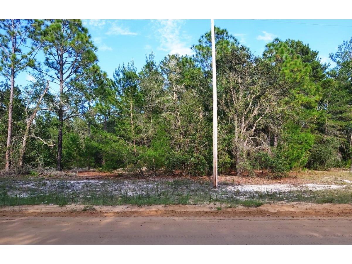 Donovan Ave Interlachen FL 32148 V4943007 image1