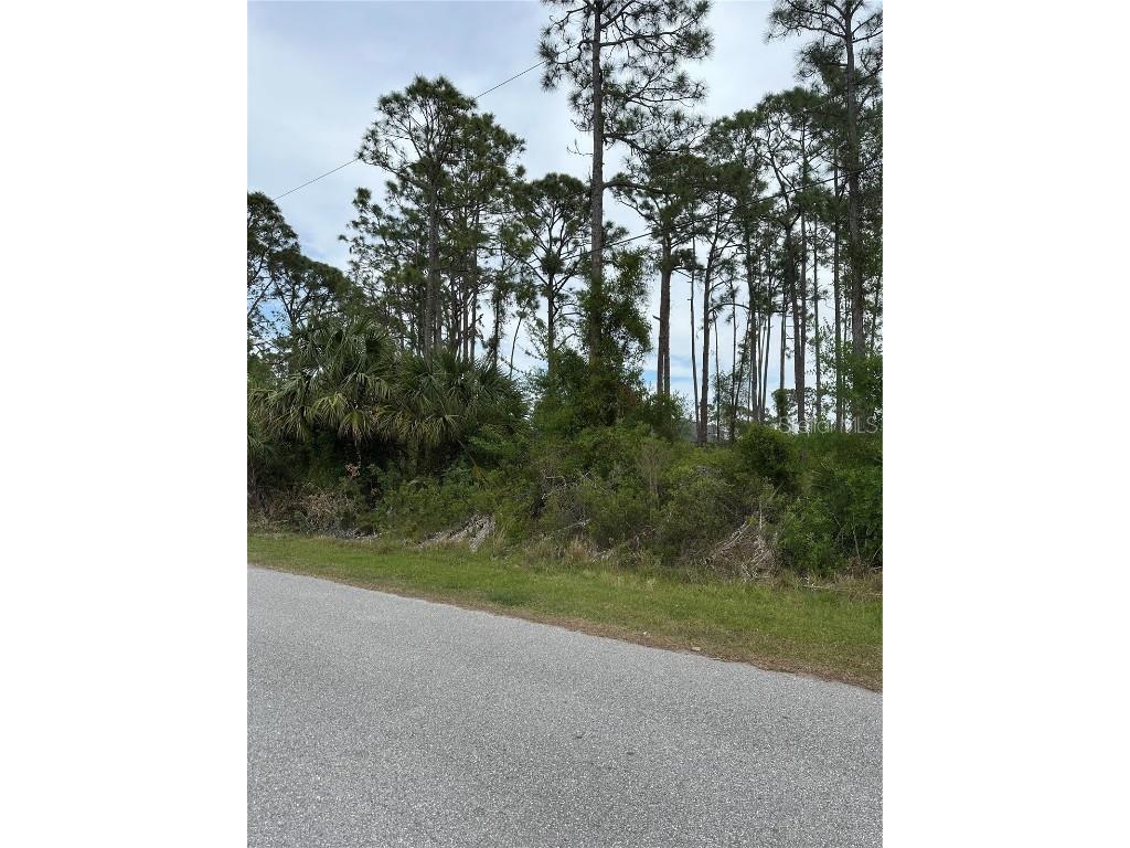 Dooling Street North Port FL 34291 N6138013 image1