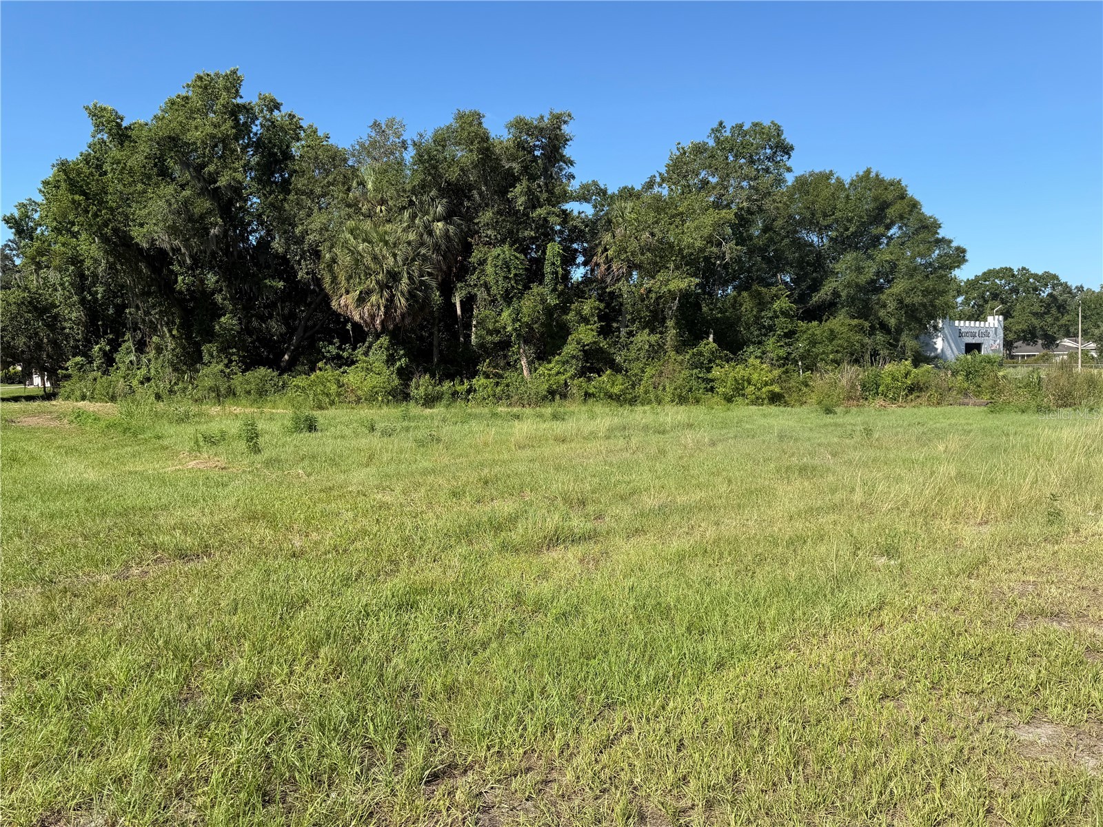 Dossey Road S Lakeland FL 33811 L4962453 image1