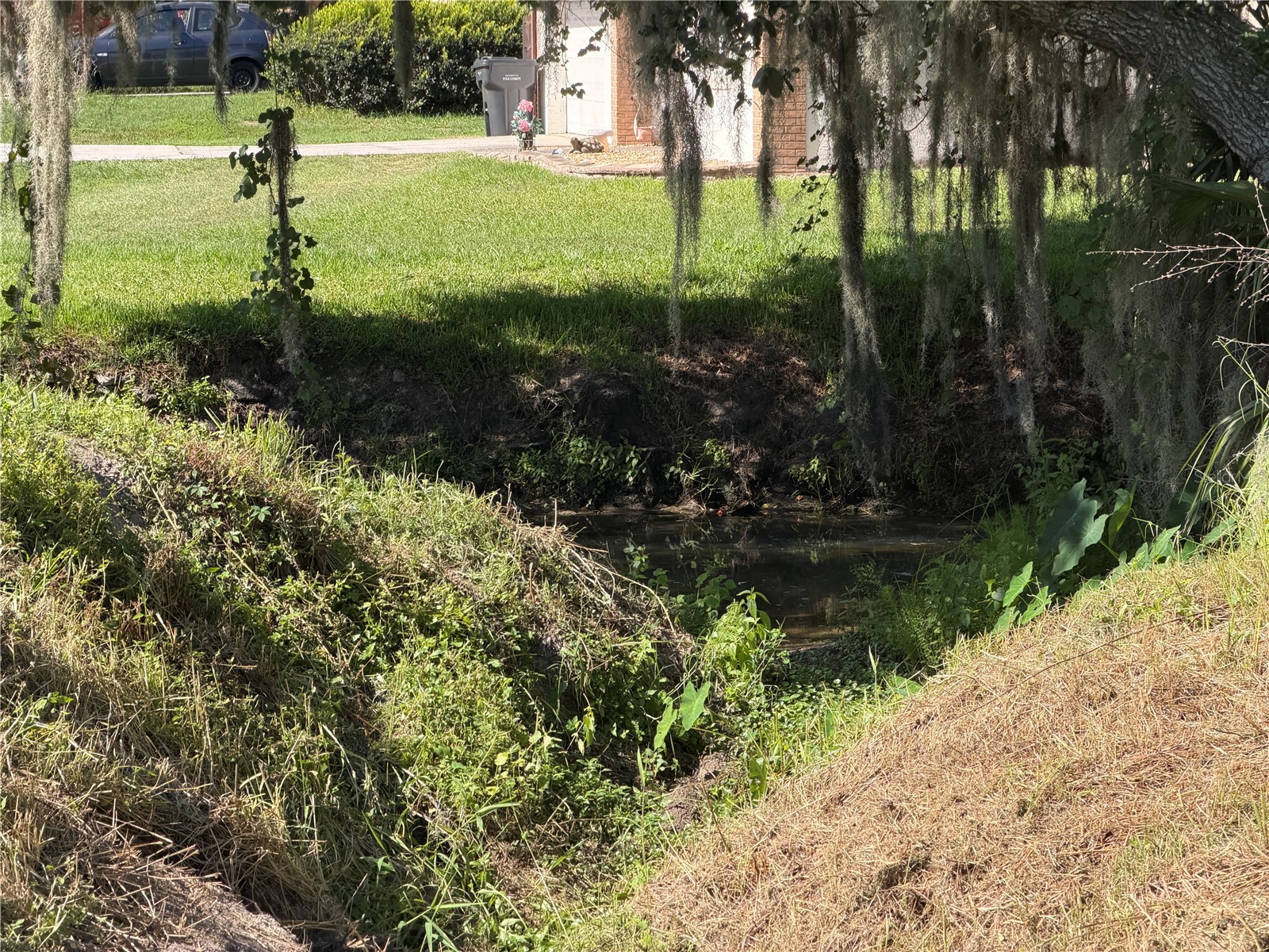 Dossey Road S Lakeland FL 33811 L4962453 image4