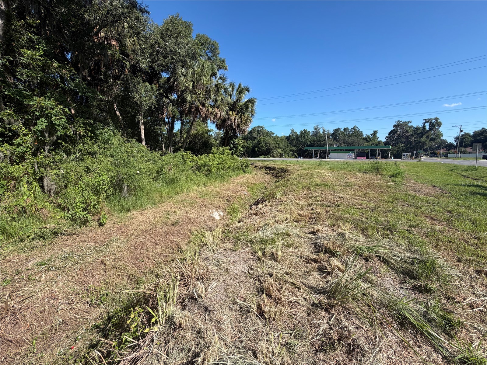 Dossey Road S Lakeland FL 33811 L4962453 image5