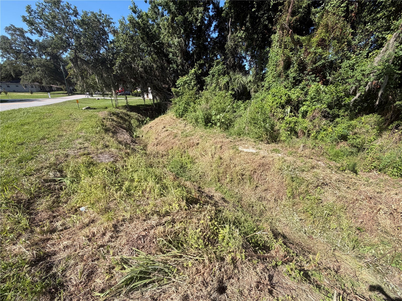 Dossey Road S Lakeland FL 33811 L4962453 image6