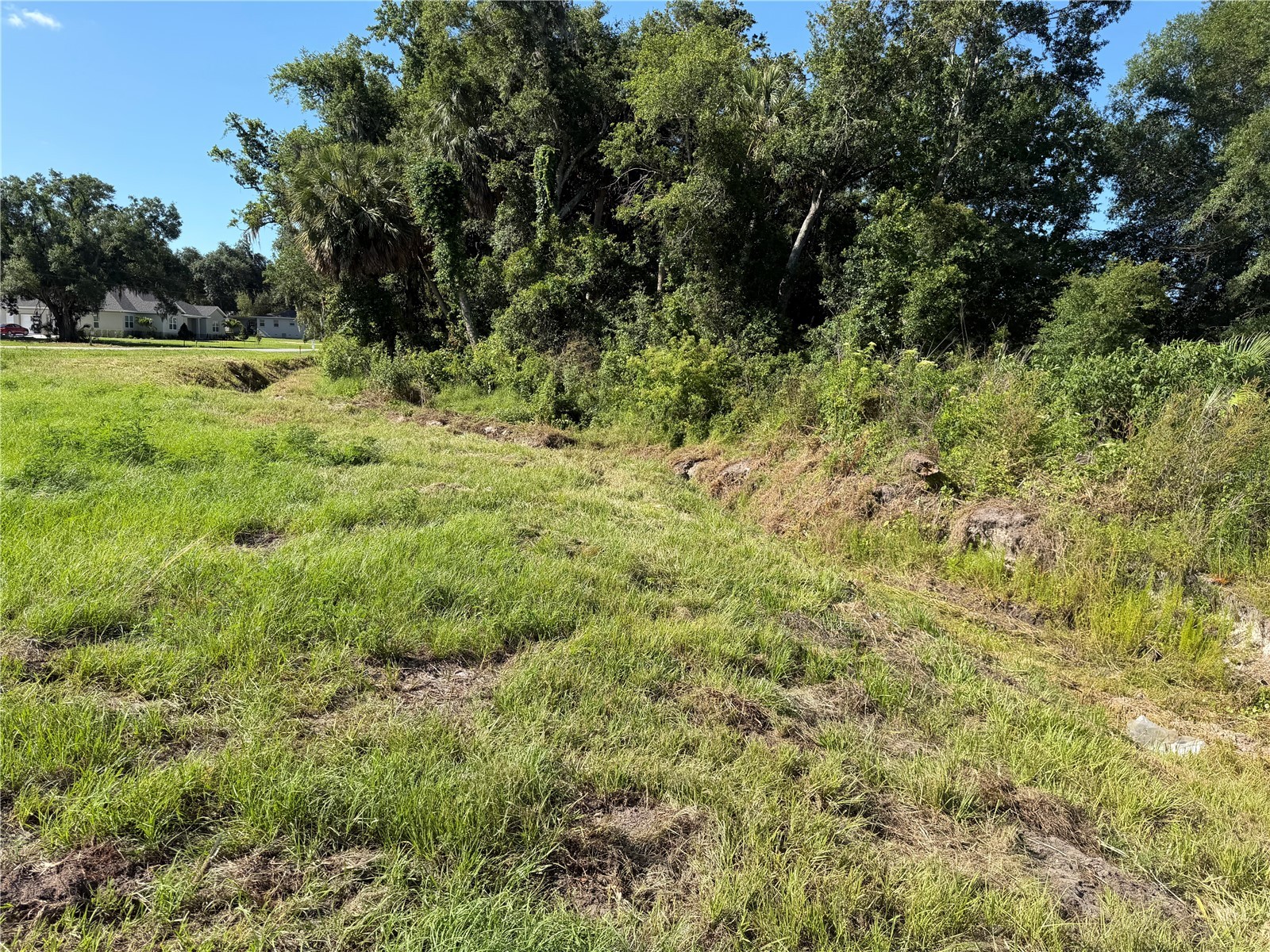 Dossey Road S Lakeland FL 33811 L4962453 image8