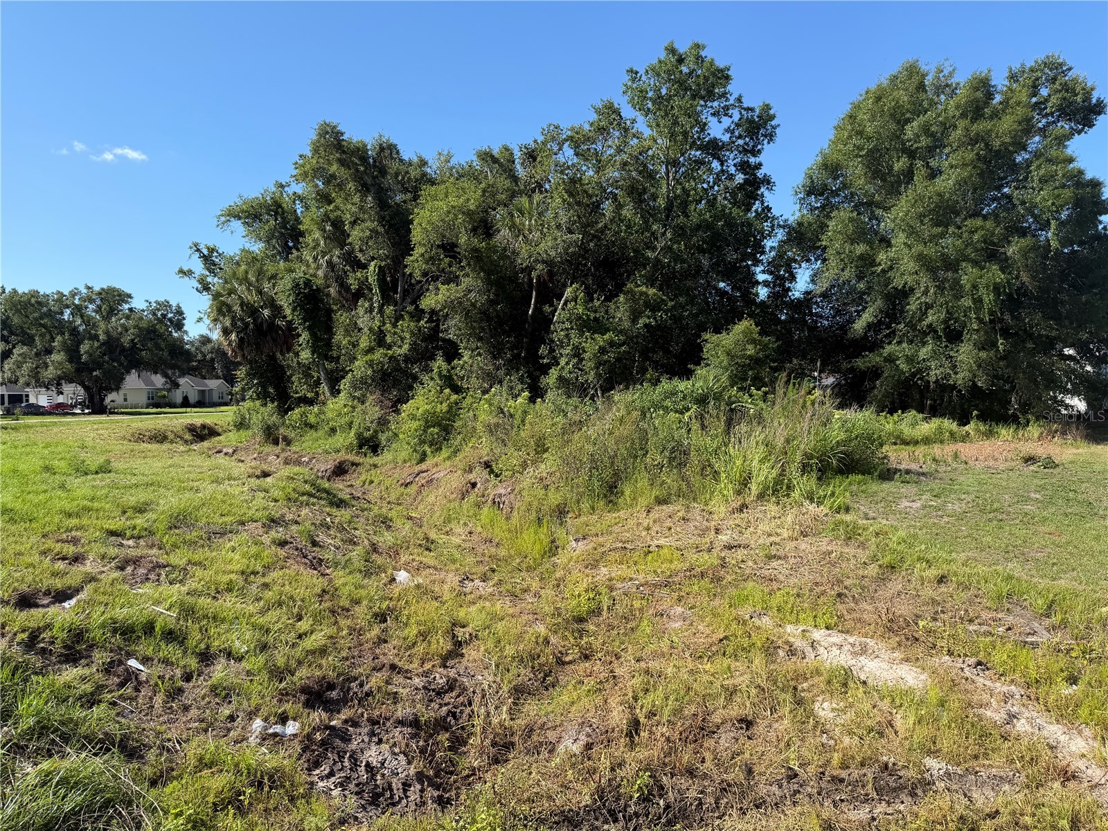 Dossey Road S Lakeland FL 33811 L4962453 image9