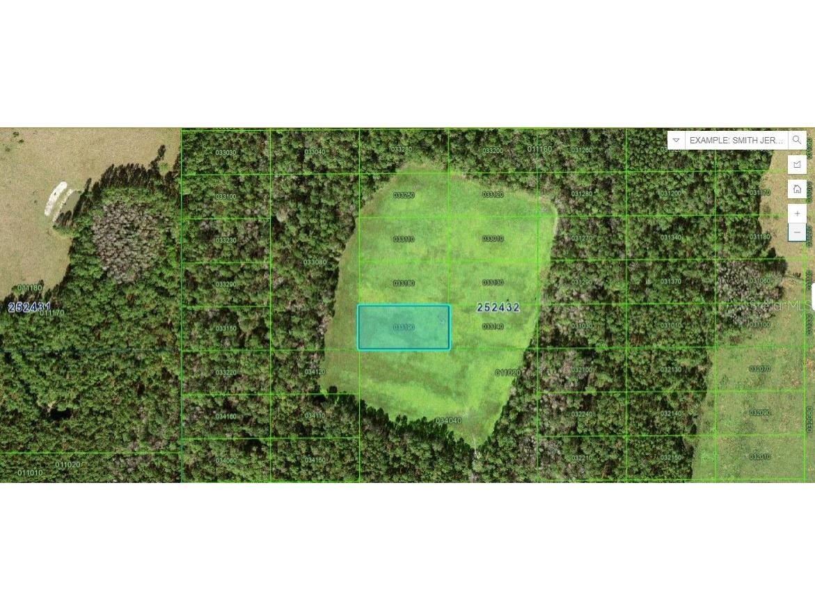 Double Diamond Dr Polk City FL 33868 O6266949 image1