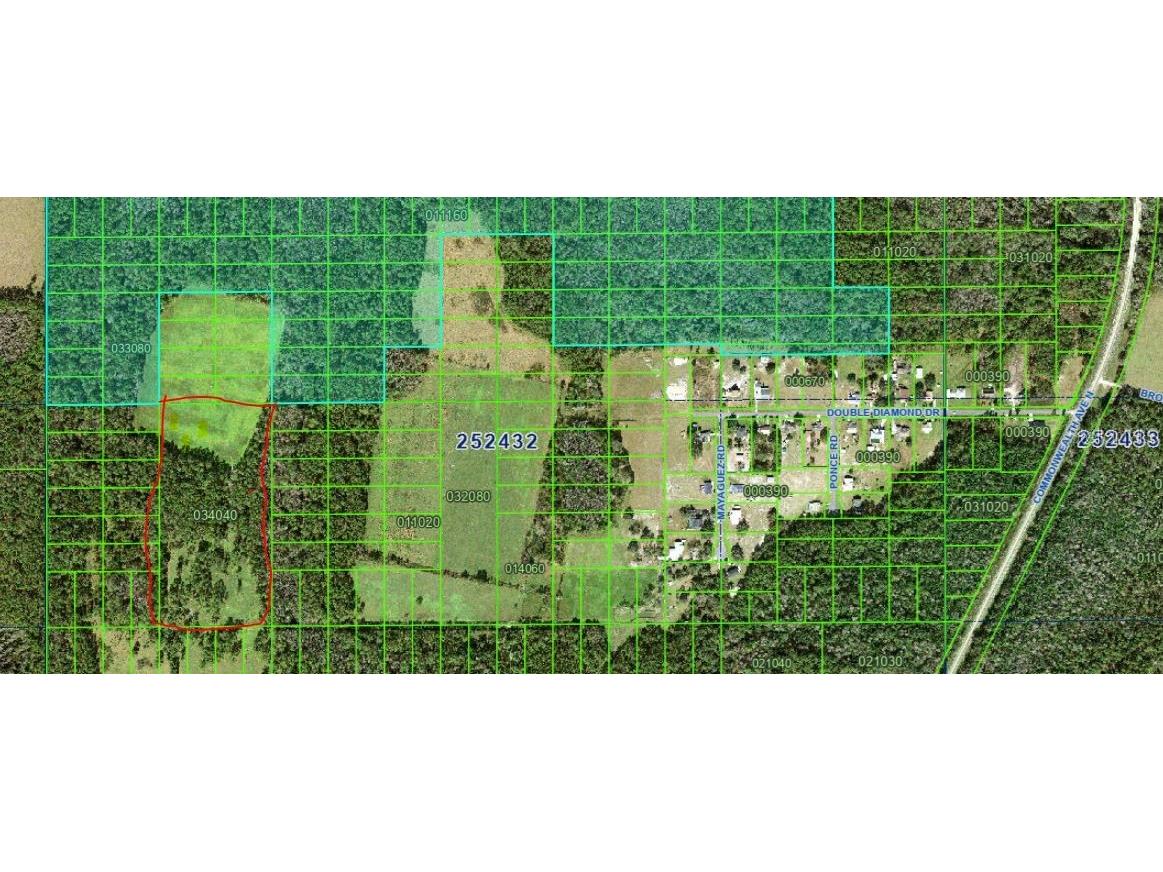 Double Diamond Drive Polk City FL 33868 P4936720 image1