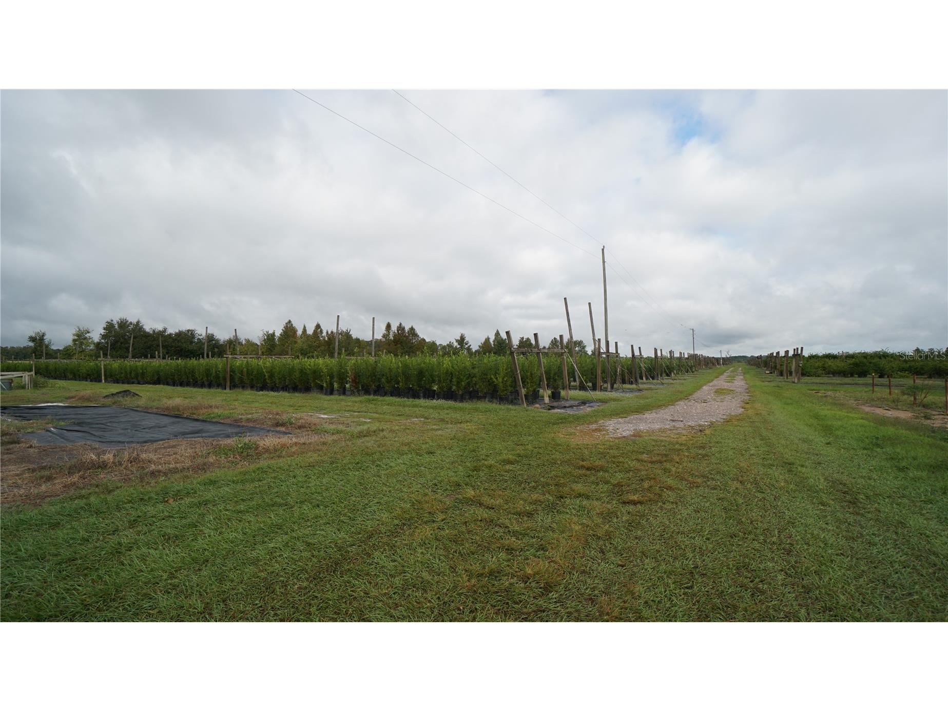 Douglas Road Groveland FL 34736 G5108033 image1