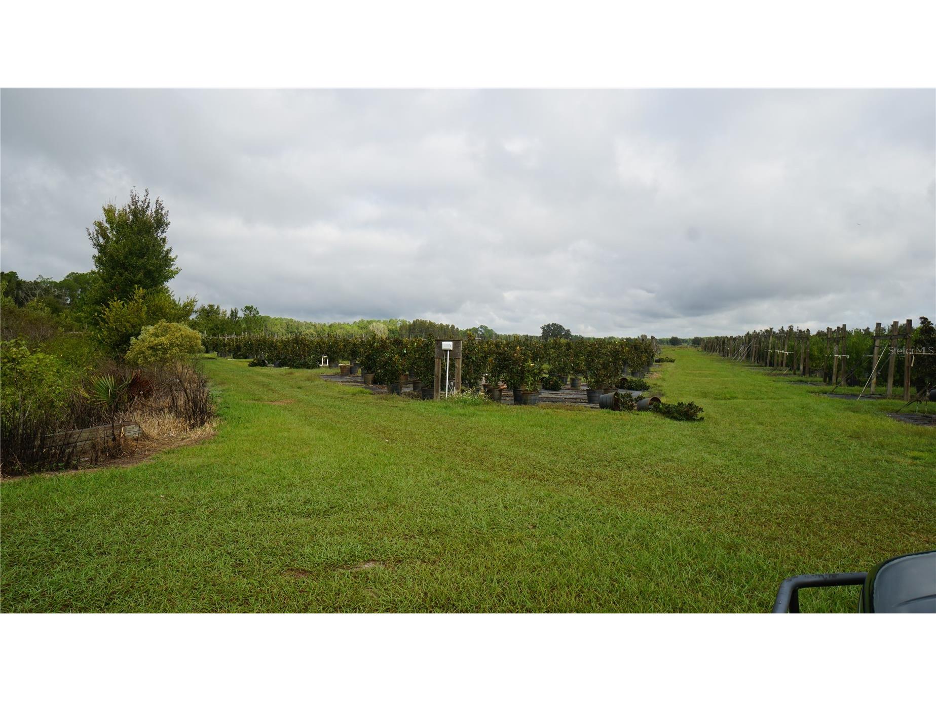 Douglas Road Groveland FL 34736 G5108033 image11