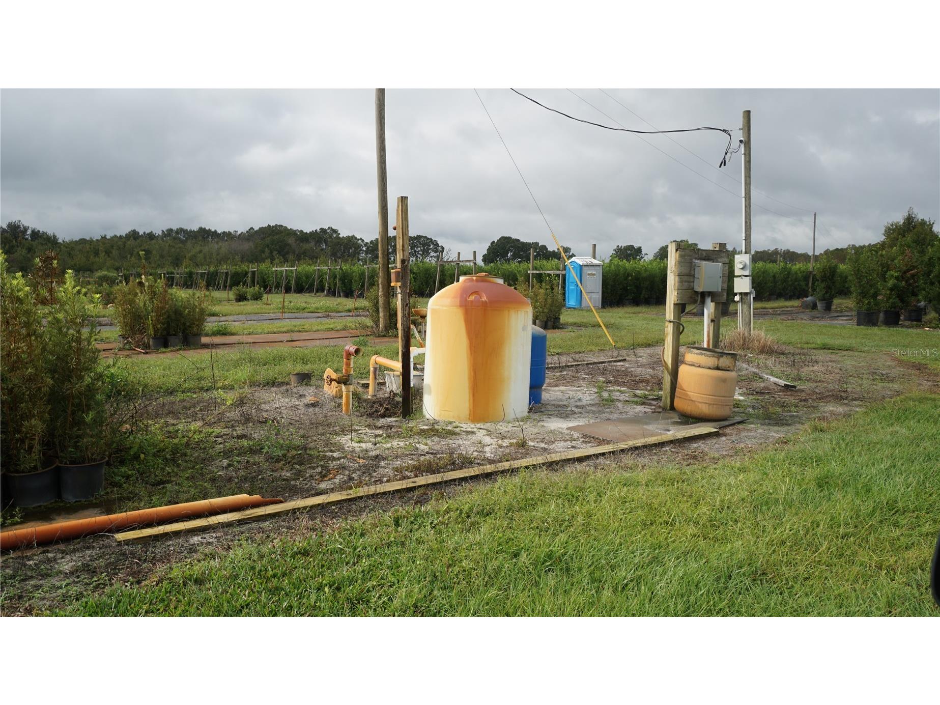 Douglas Road Groveland FL 34736 G5108033 image12