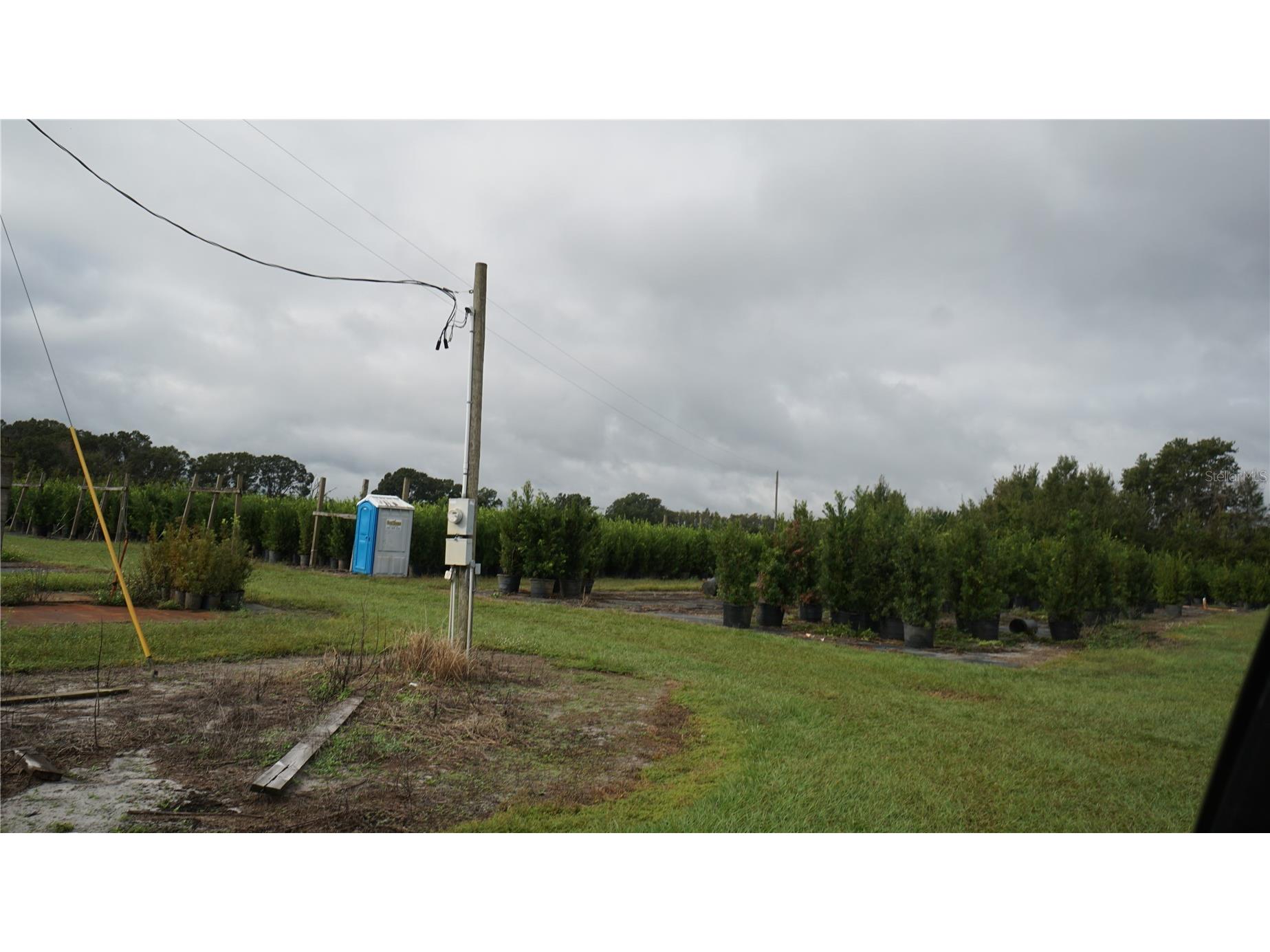 Douglas Road Groveland FL 34736 G5108033 image13