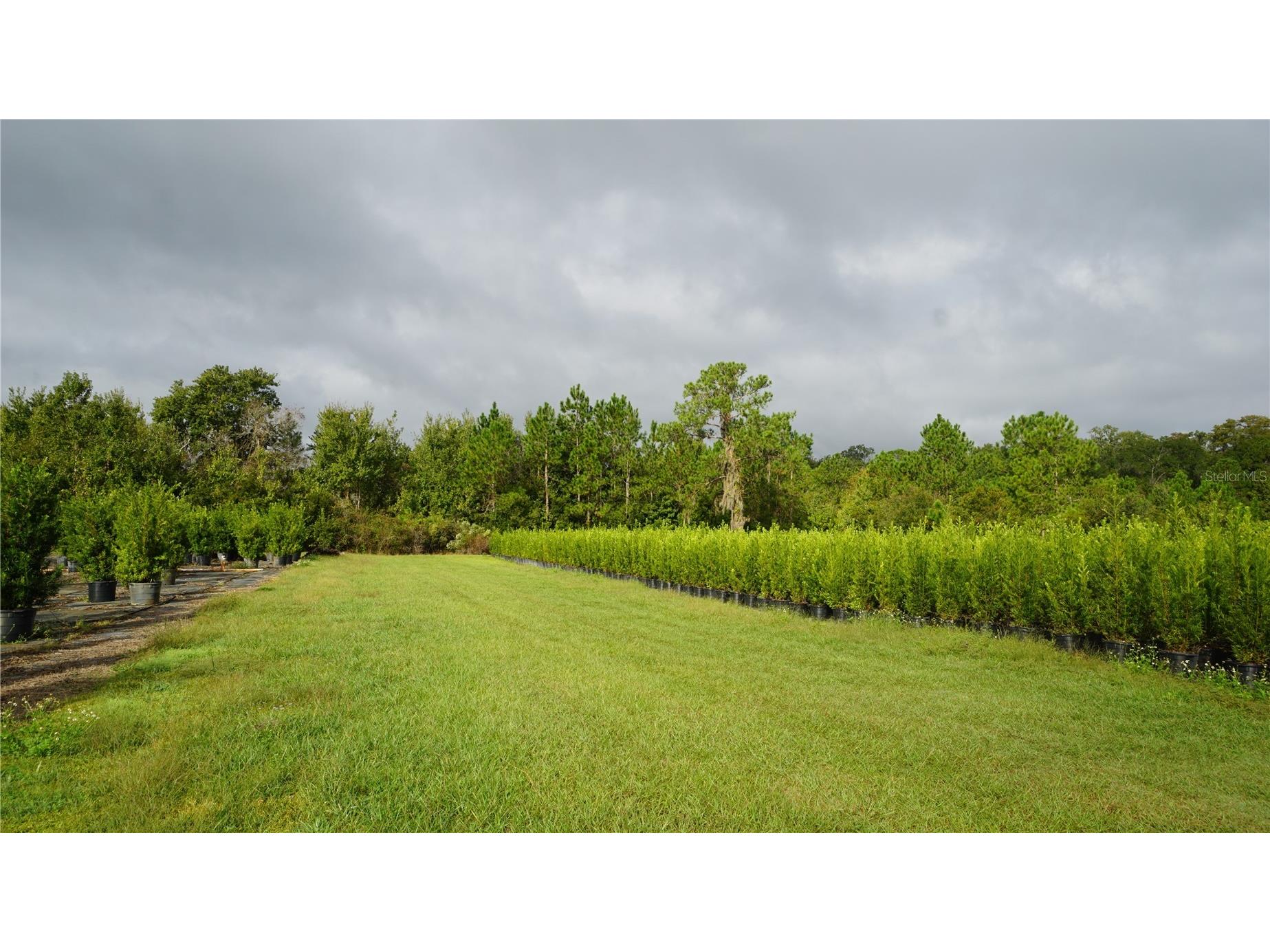 Douglas Road Groveland FL 34736 G5108033 image14