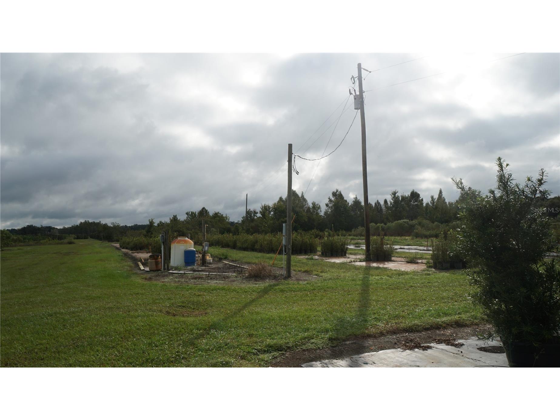 Douglas Road Groveland FL 34736 G5108033 image15