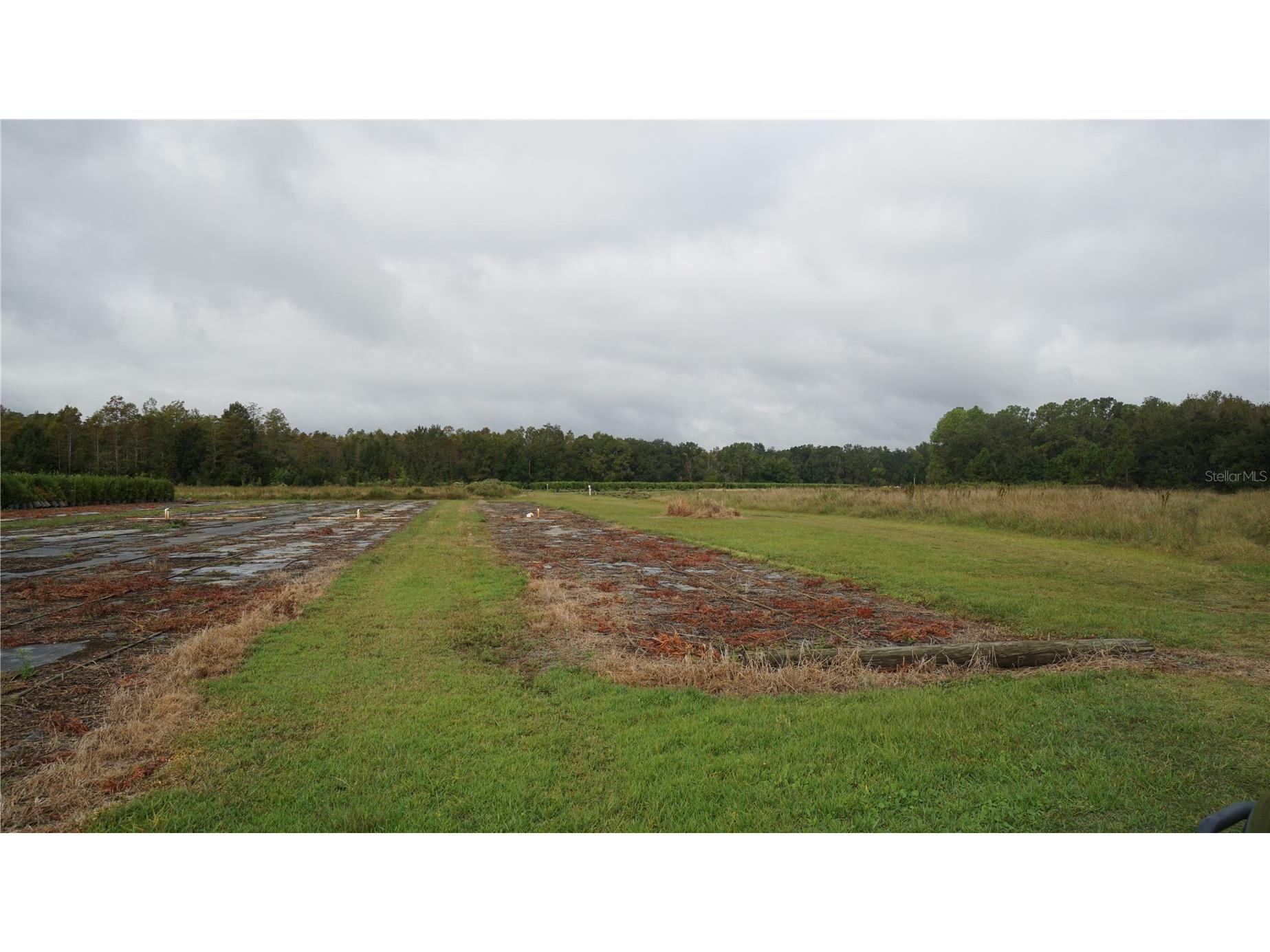Douglas Road Groveland FL 34736 G5108033 image17