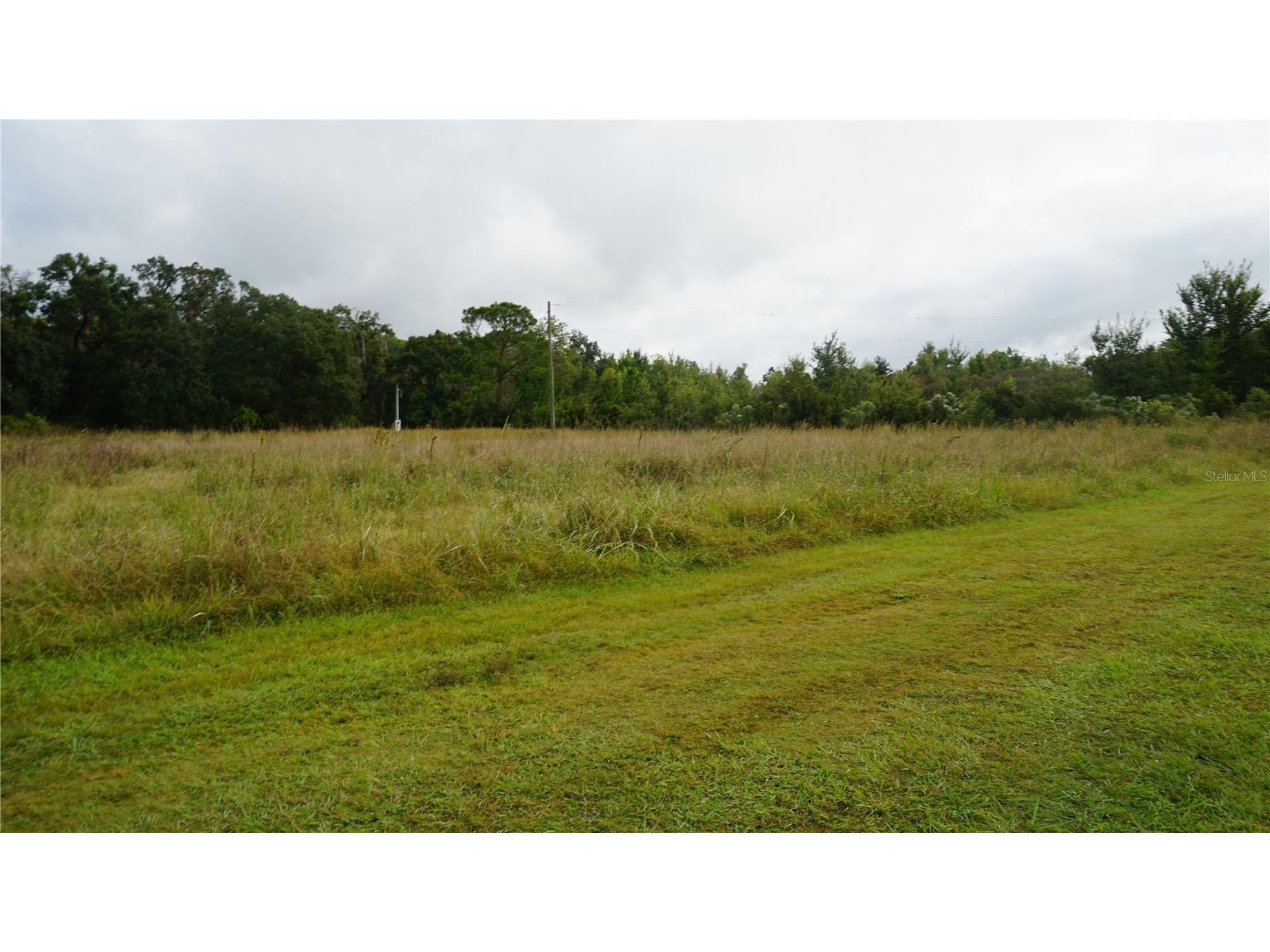 Douglas Road Groveland FL 34736 G5108033 image18