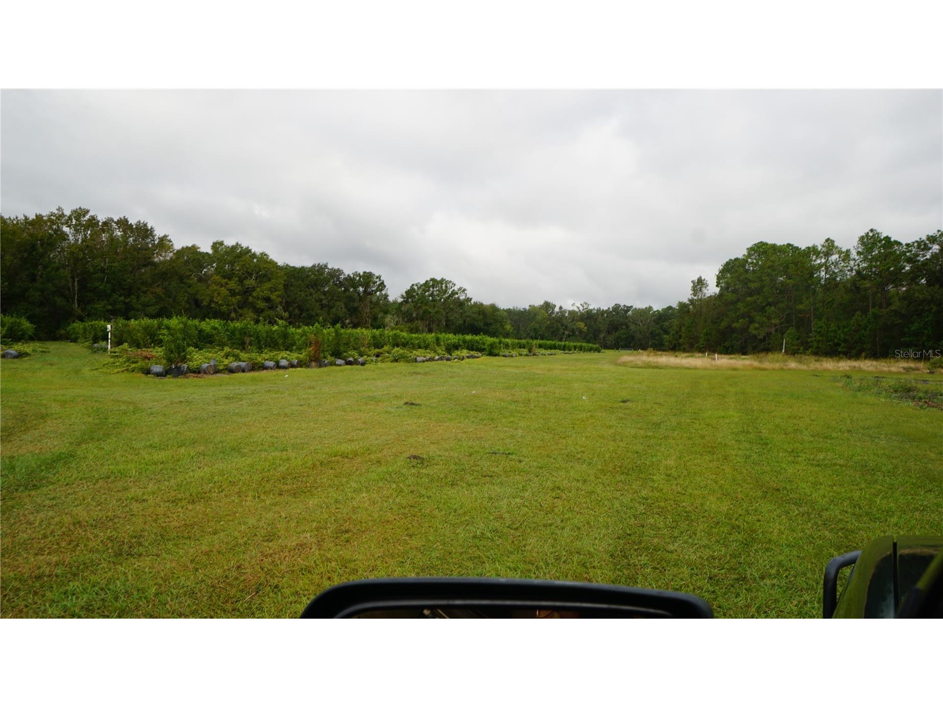 Douglas Road Groveland FL 34736 G5108033 image19