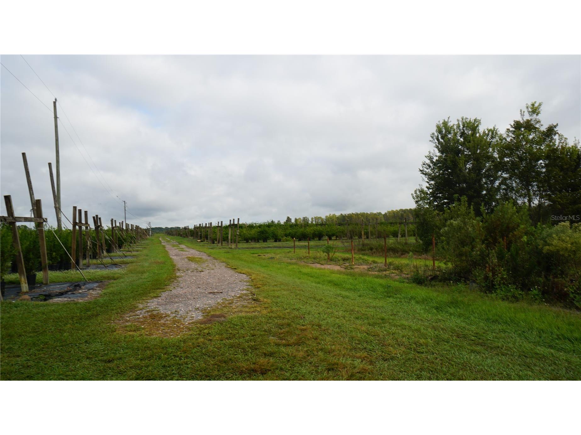 Douglas Road Groveland FL 34736 G5108033 image2