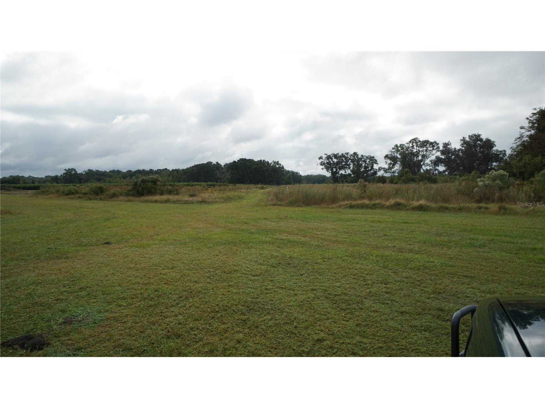 Douglas Road Groveland FL 34736 G5108033 image20