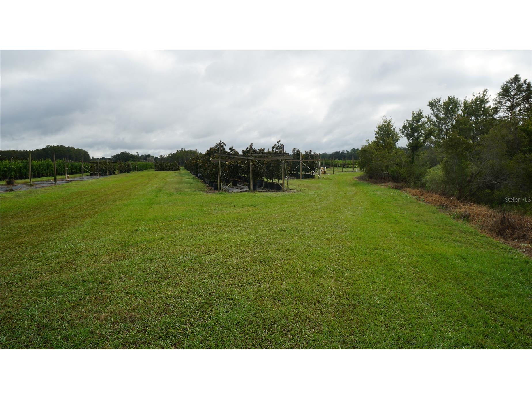 Douglas Road Groveland FL 34736 G5108033 image9