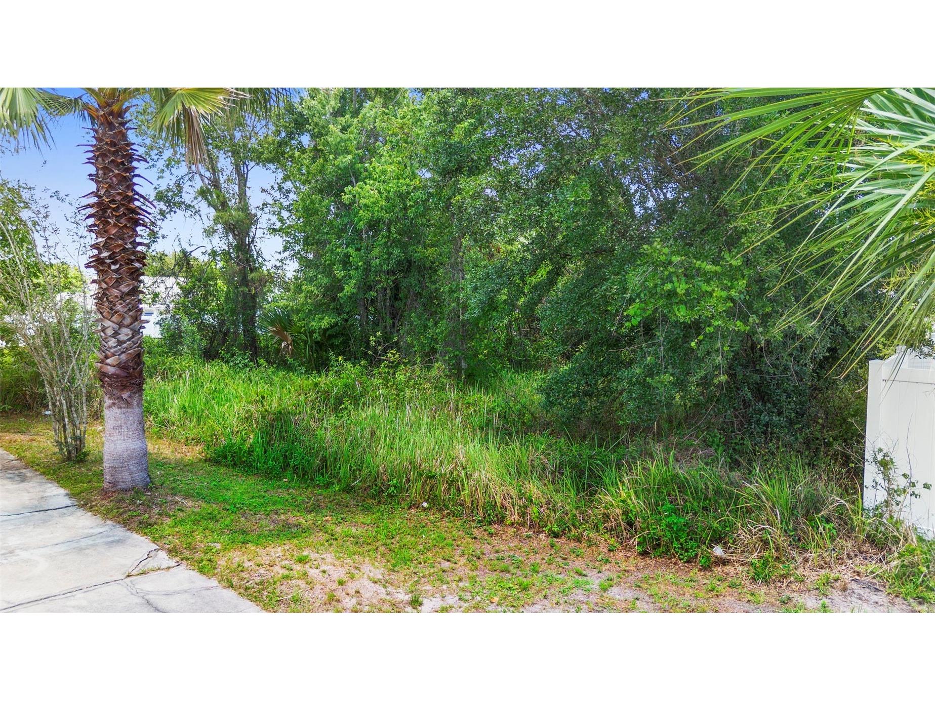 Dove Drive Poinciana FL 34759 O6412018 image15