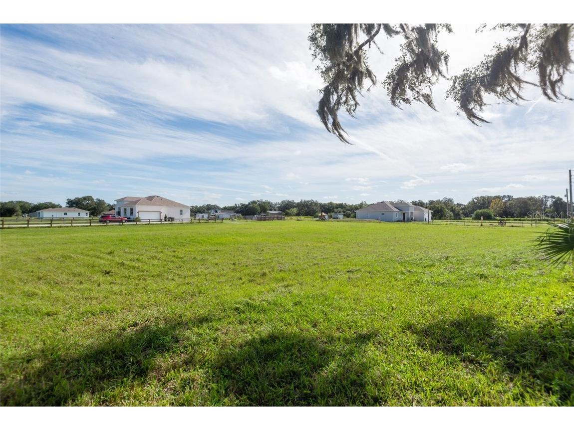 Downing Street Dover FL 33527 T3487927 image1