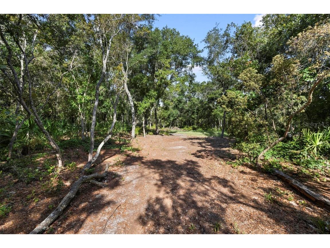 Doyle Road Deltona FL 32738 V4936576 image11