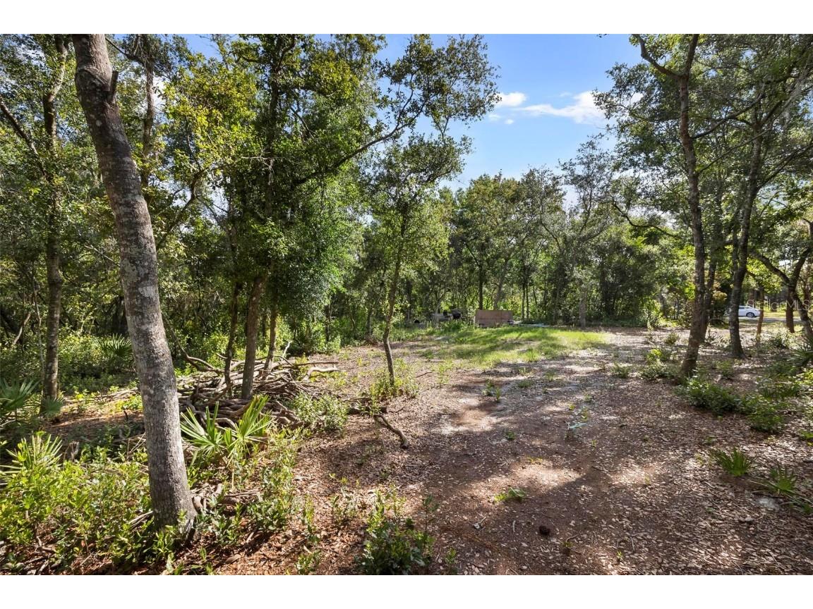 Doyle Road Deltona FL 32738 V4936576 image12