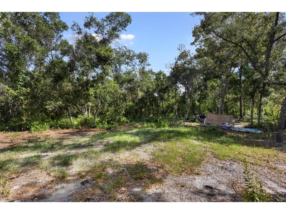 Doyle Road Deltona FL 32738 V4936576 image13