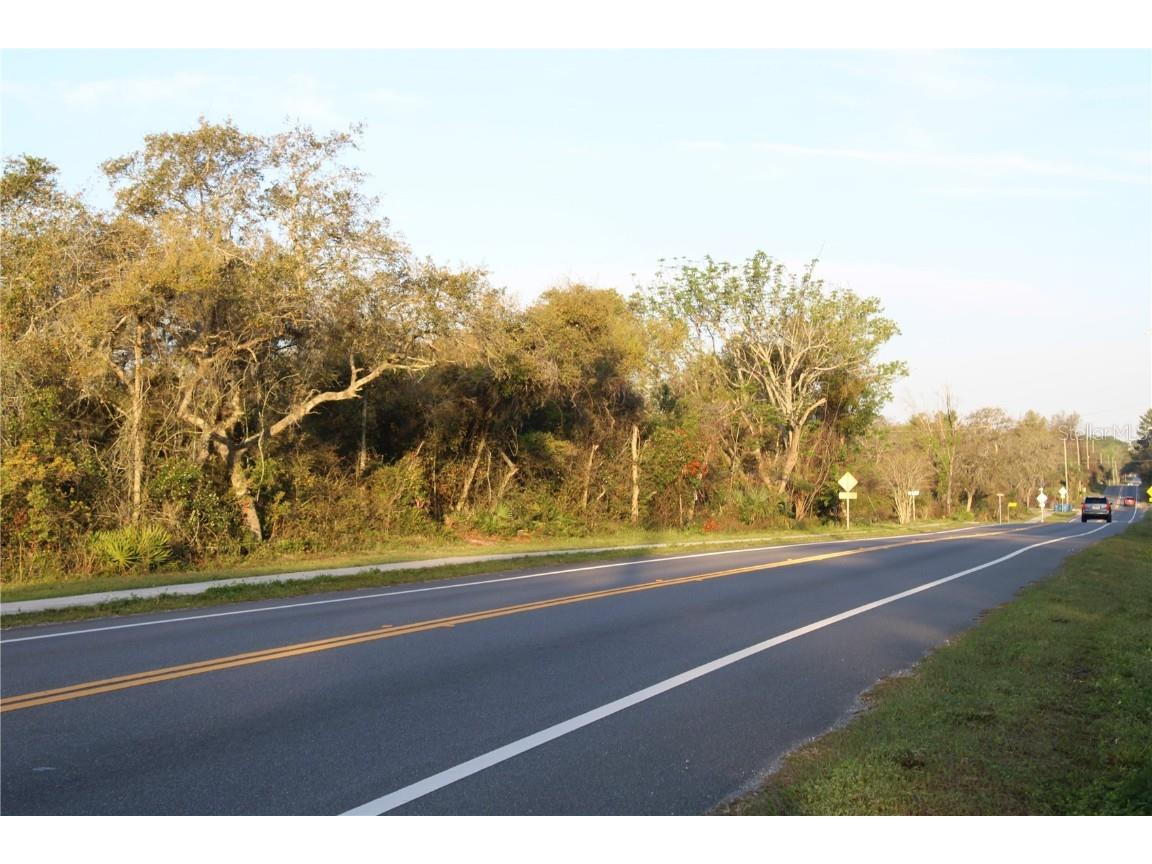 Doyle Road Osteen FL 32764 O6300072 image2