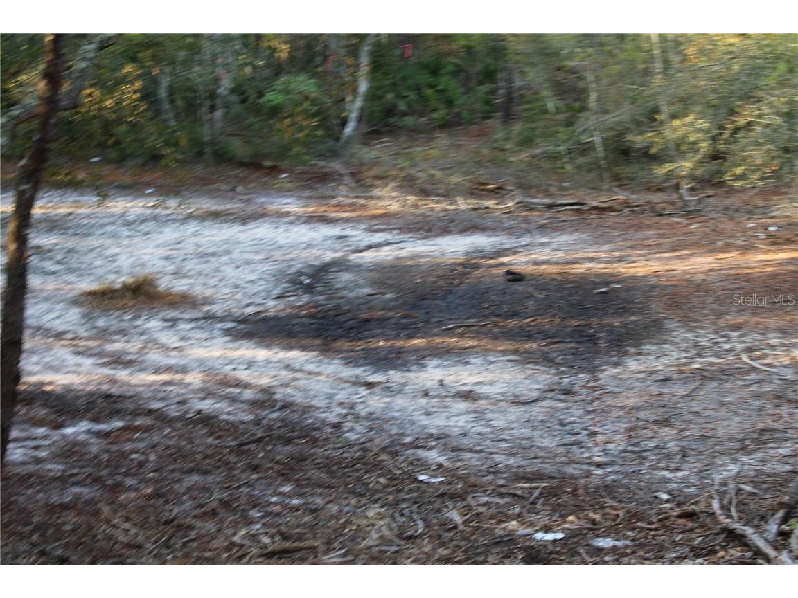 Doyle Road Osteen FL 32764 O6300072 image3