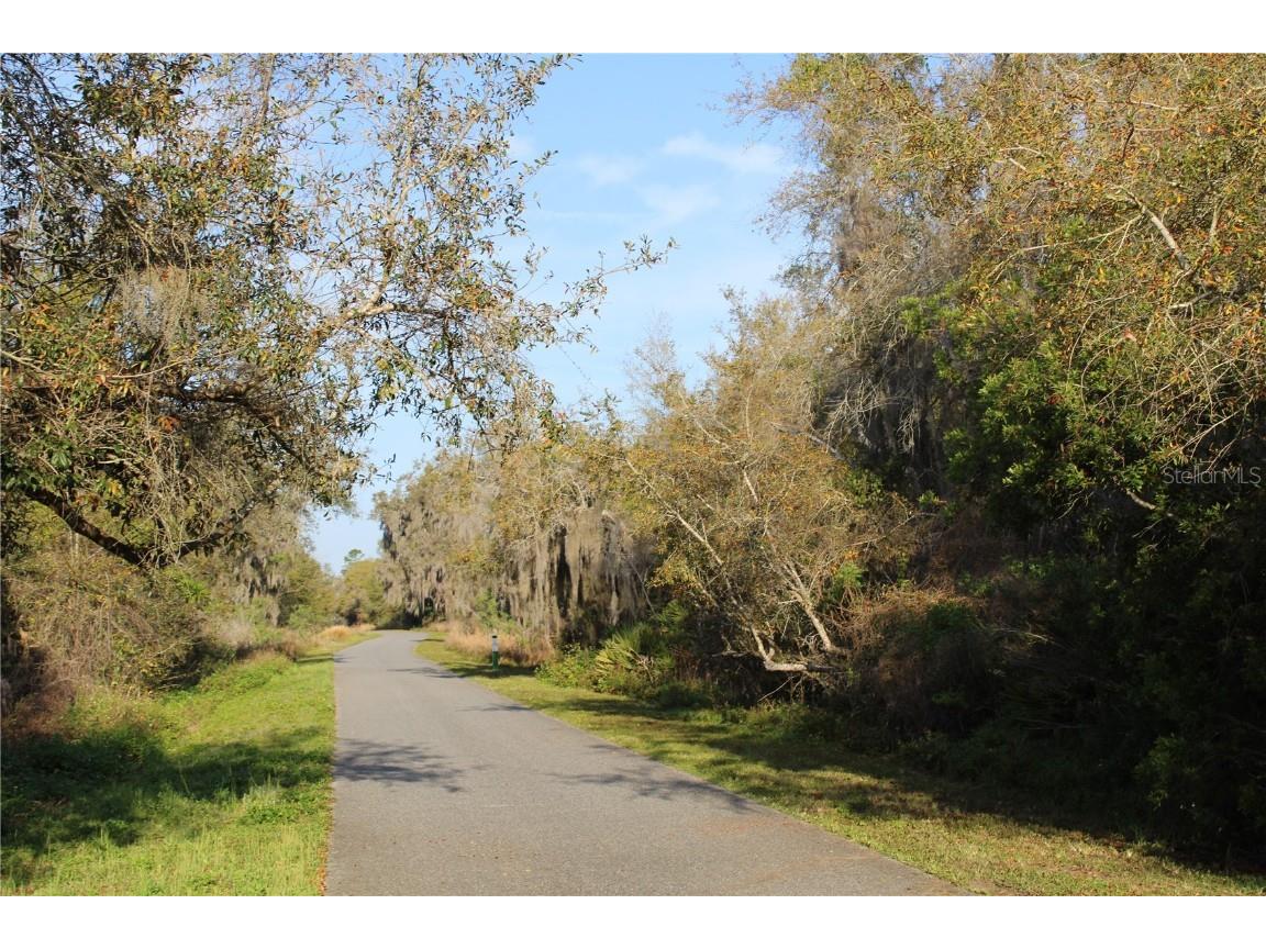 Doyle Road Osteen FL 32764 O6300072 image4