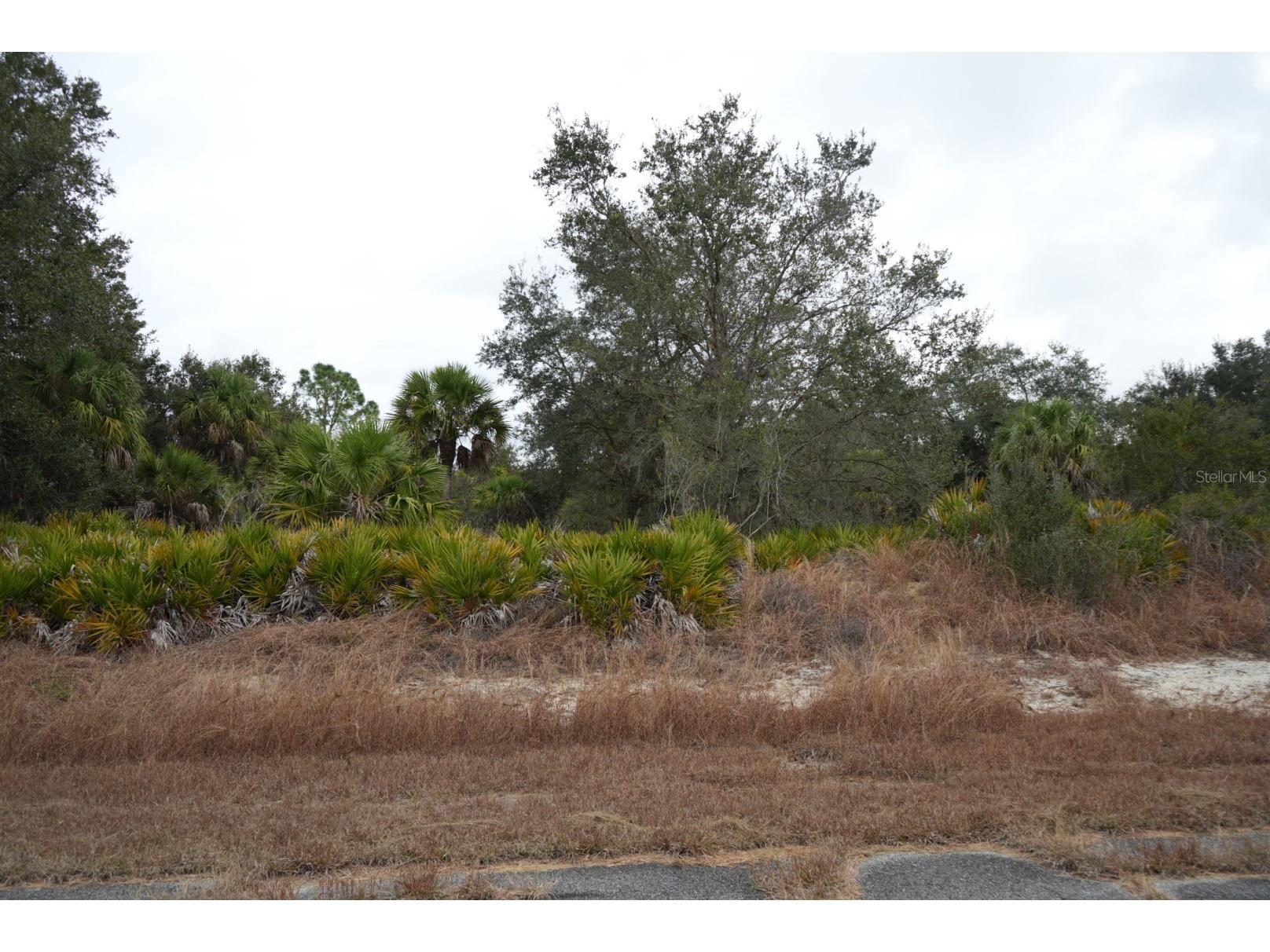 Dozier Terrace North Port FL 34288 C7519930 image2