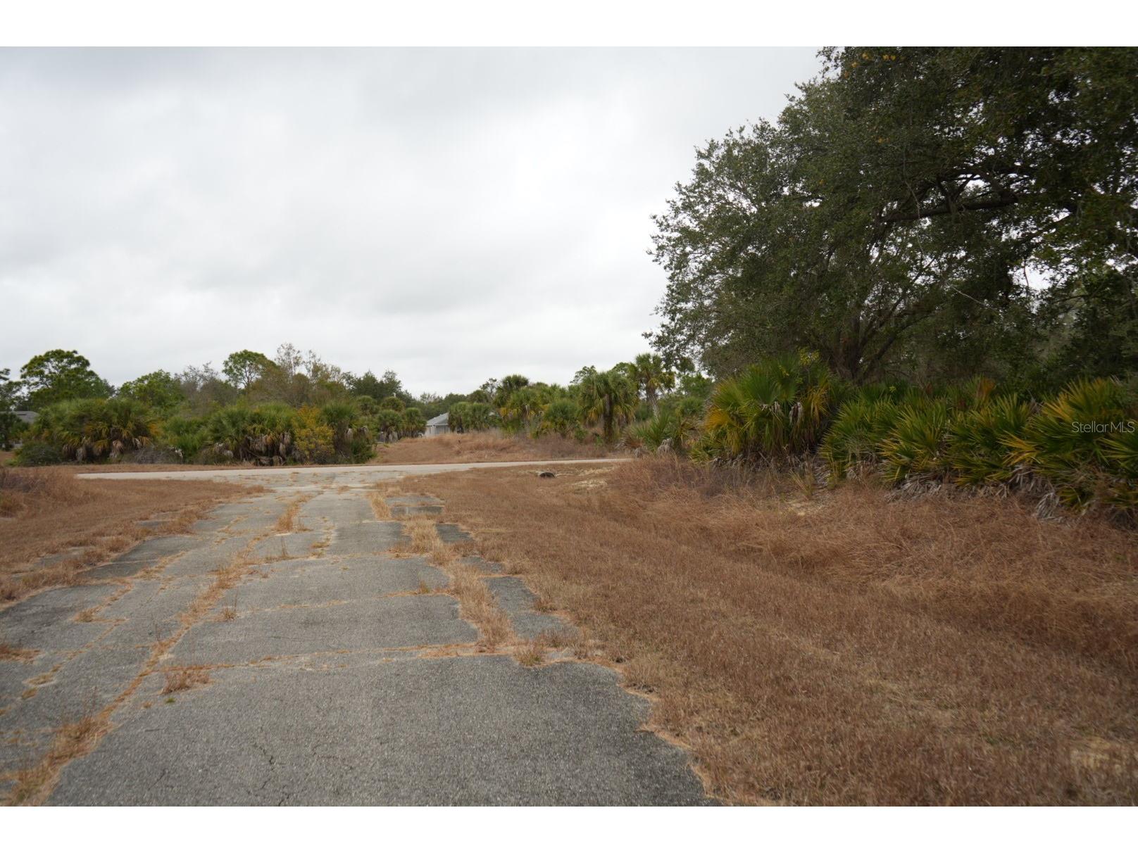 Dozier Terrace North Port FL 34288 C7519930 image4