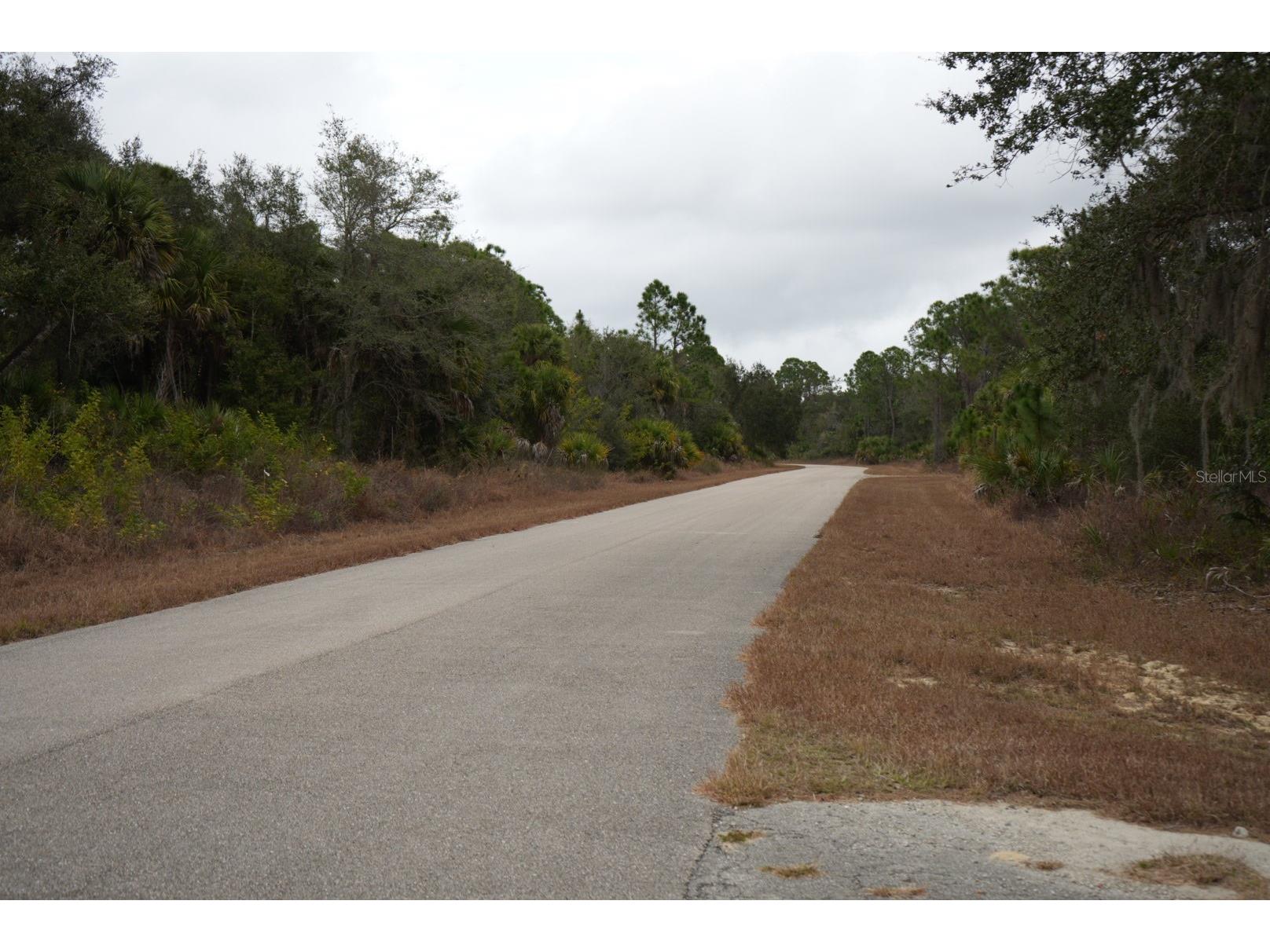 Dozier Terrace North Port FL 34288 C7519930 image6