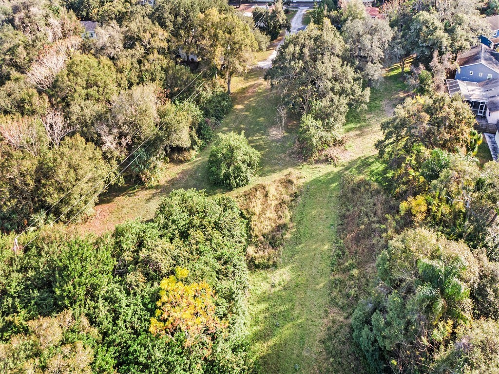 Dr Ml King Jr Street N Safety Harbor FL 34695 U8186297 image10